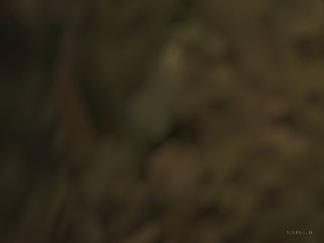 dm_xapporat_bm thumb 19