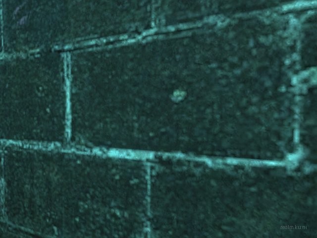 dm_decoy_cu thumb 10