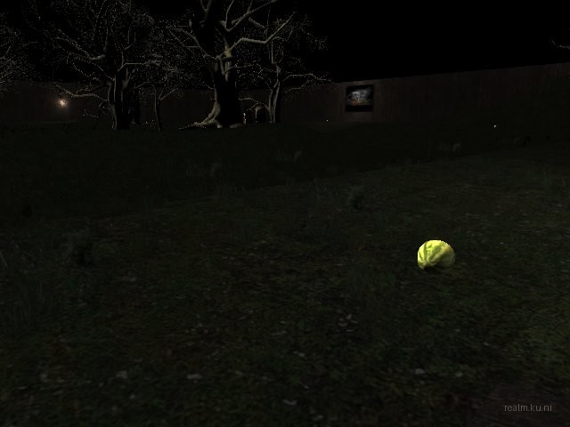 cok_fantasy_woods_final thumb 2