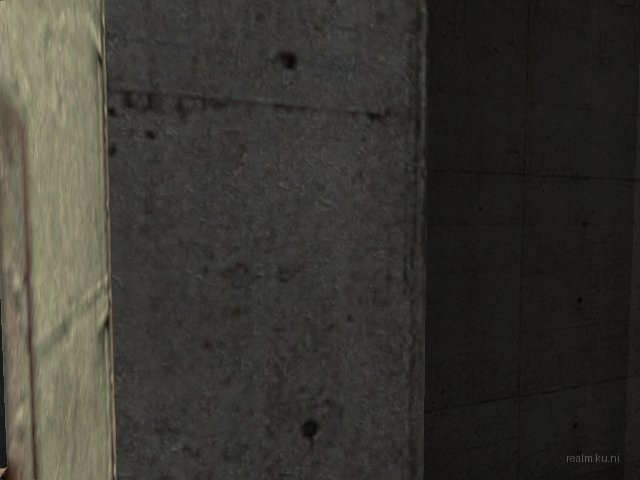 dm_concreteday1 thumb 11