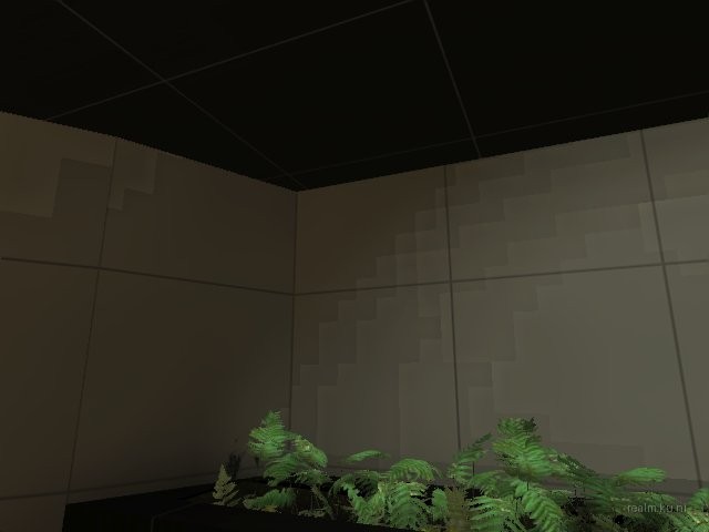 dm_css_executive_bm thumb 6