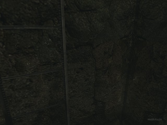 dm_forest_of_pain_final thumb 17