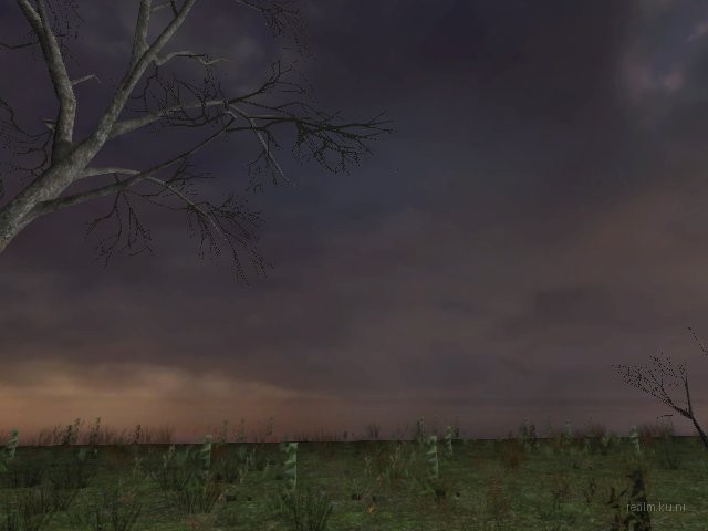 dm_killbox_trees1_tko thumb 14