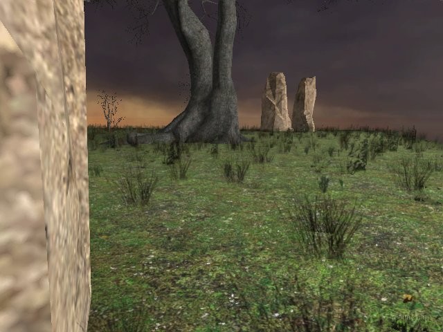 dm_killbox_trees1_tko thumb 7