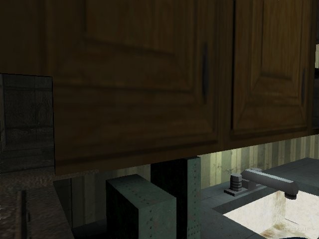 dm_rats_2005 thumb 13