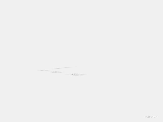 dm_richland thumb 5