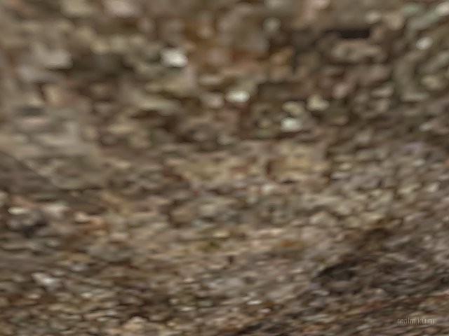 dm_snipe thumb 20