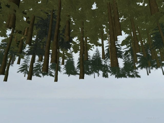 dm_backwash2 thumb 2