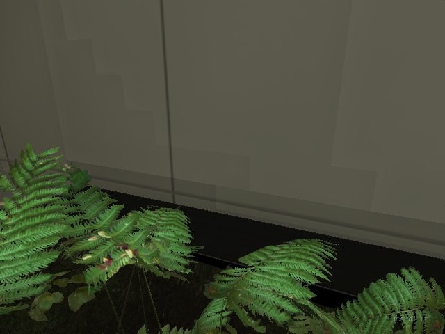 dm_css_executive_bm thumb 18