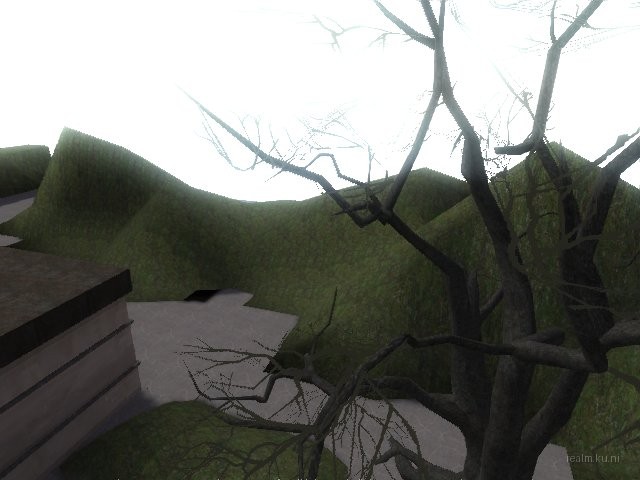 dm_disturbed_area_hogs_b1 thumb 15