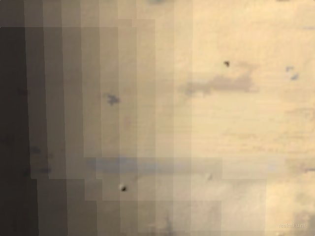dm_disturbed_area_hogs_b1 thumb 5