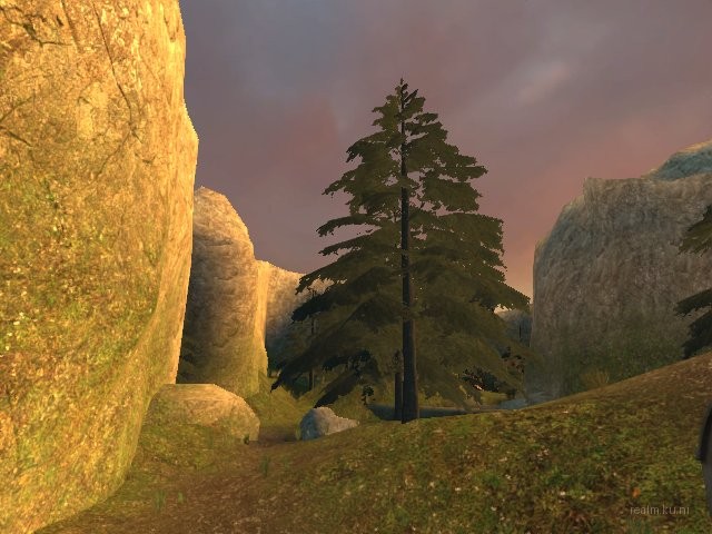 dm_forest_vendetta_v1 thumb 30
