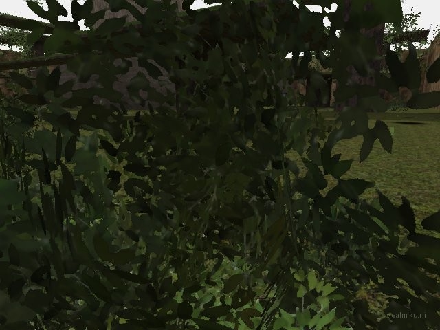 dm_kybos_wood_extreme_v1 thumb 23