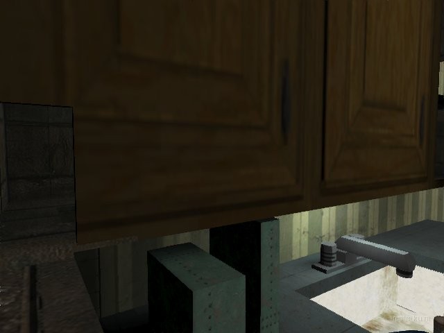 dm_rats_2005 thumb 13