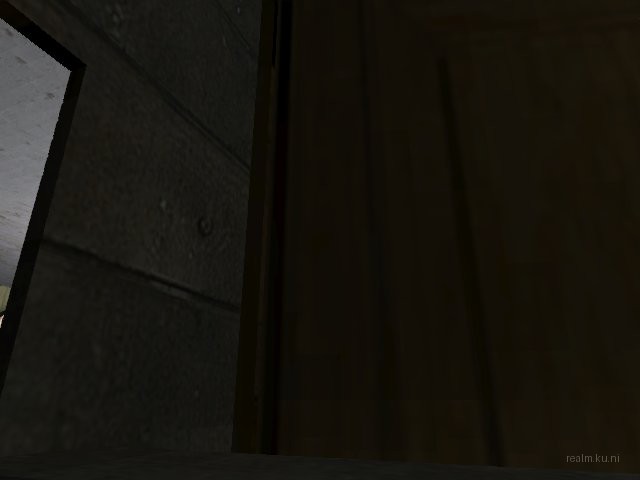 dm_rats_2005 thumb 20