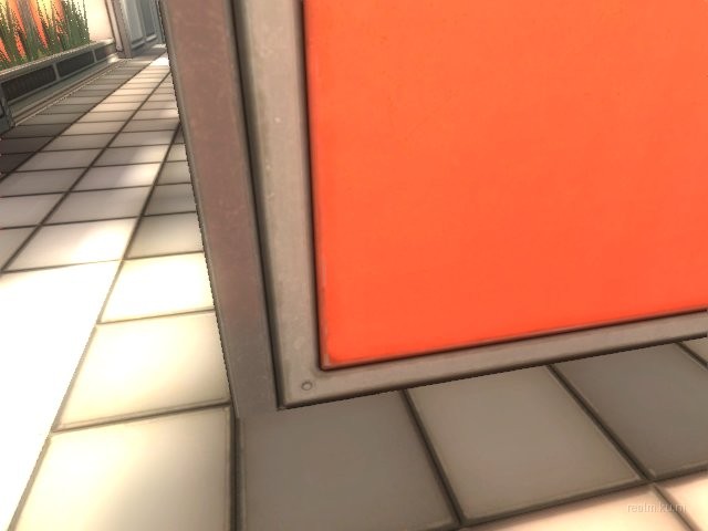 dm_zest thumb 10