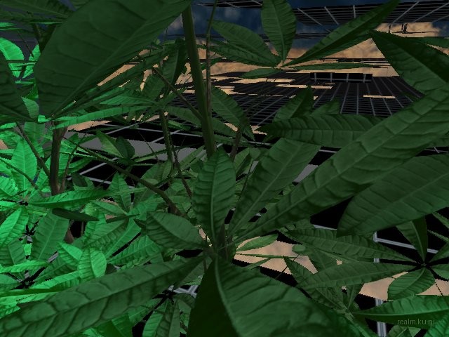 ns_hydroponicz thumb 10