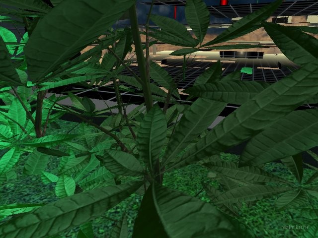 ns_hydroponicz thumb 10