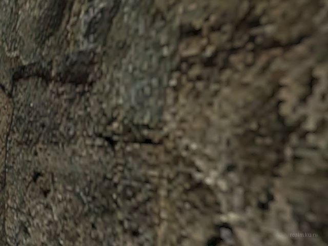 rocky thumb 36