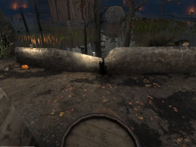 dm_blackswamp_b4 thumb 20