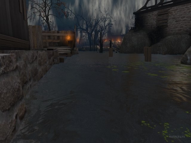 dm_blackswamp_b4 thumb 29
