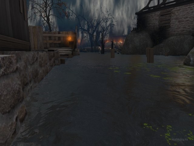 dm_blackswamp_b4 thumb 29