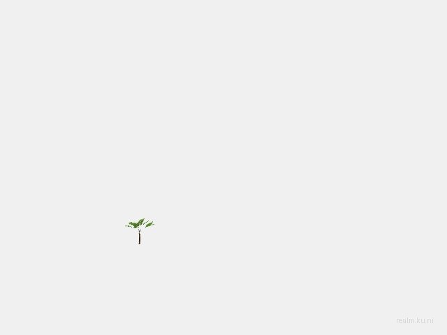 dm_islandtropic_v3 thumb 5