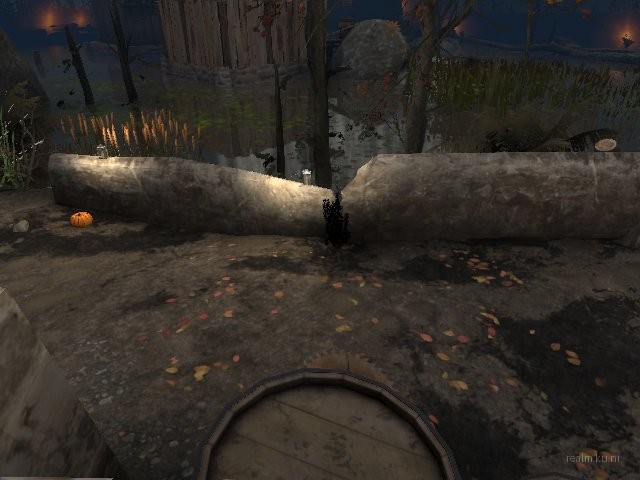 dm_blackswamp_b4 thumb 20