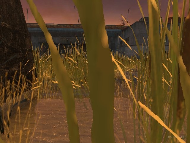dm_global_gwp thumb 55