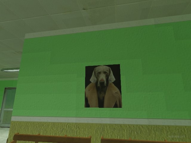 dm_[bnb]_pet_vet_strider thumb 24