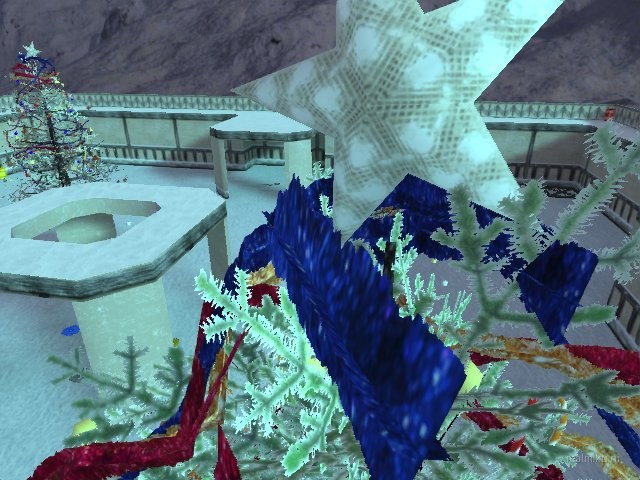 dm_[bnb]_xmas_trees thumb 2