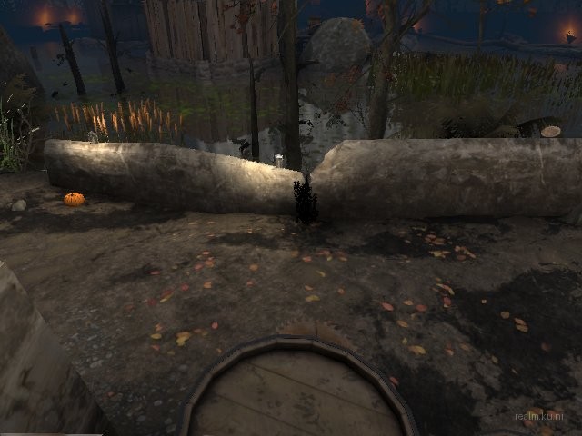 dm_blackswamp_b4 thumb 20