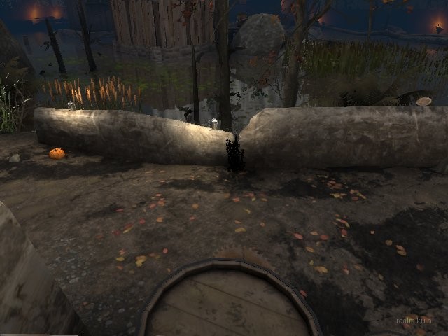 dm_blackswamp_b4 thumb 20