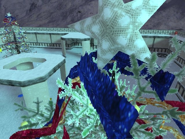 dm_[bnb]_xmas_trees thumb 2