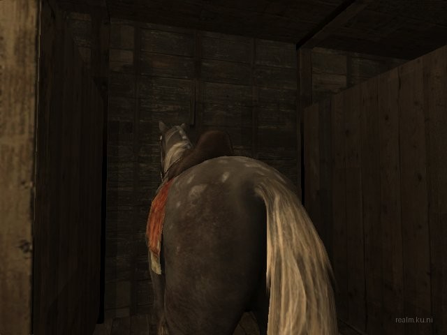 dm_[bnb]_wildwest thumb 15
