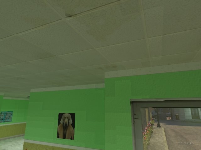 dm_[bnb]_pet_vet_strider thumb 2