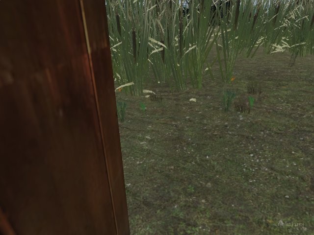 dm_bird_islands thumb 11