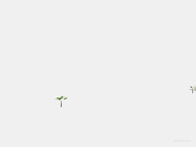 scm_islandtropic23 thumb 9