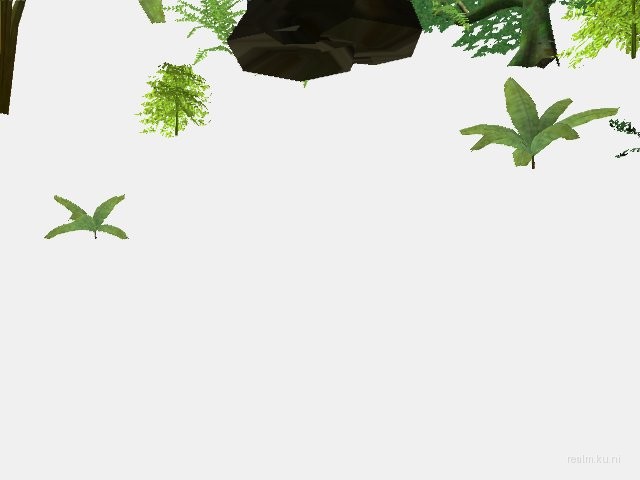 dm_tropic thumb 4