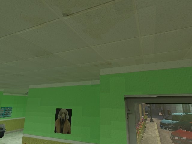 dm_[bnb]_pet_vet_strider thumb 4