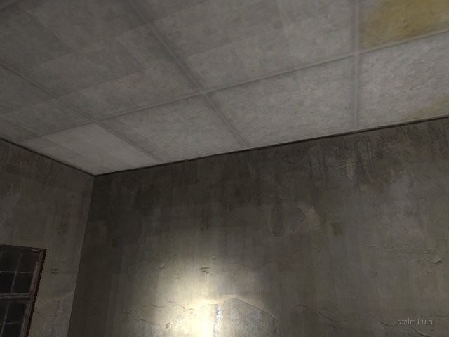dm_canopy_rc1 thumb 9