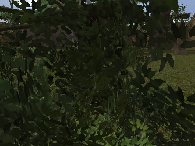 dm_kybos_wood_extreme_v1 thumb 26