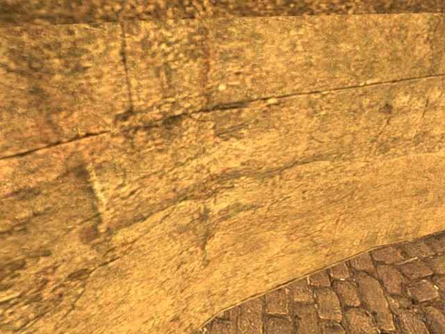 dm_mogliano17 thumb 42