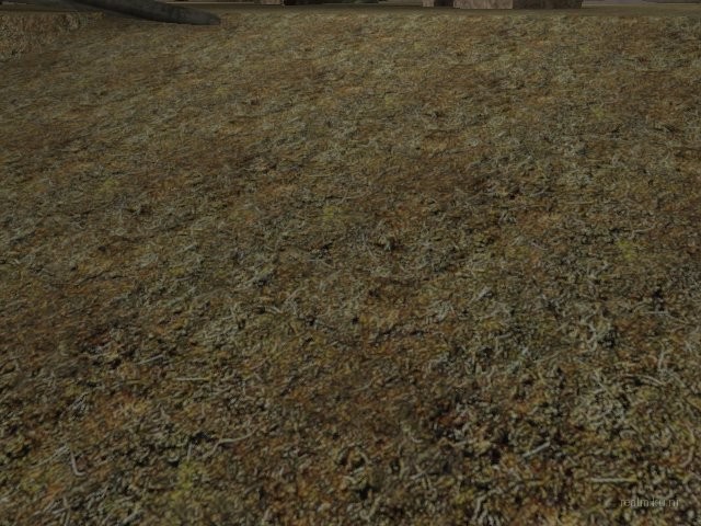 dm_only3_two_sides_bv thumb 68