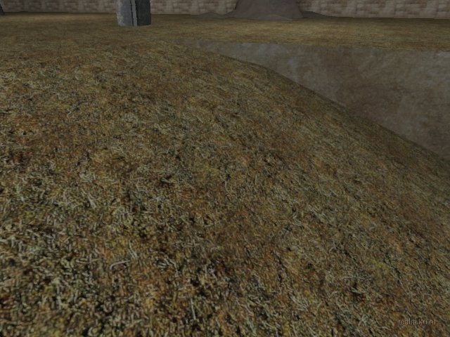 dm_only3_two_sides_bv thumb 20