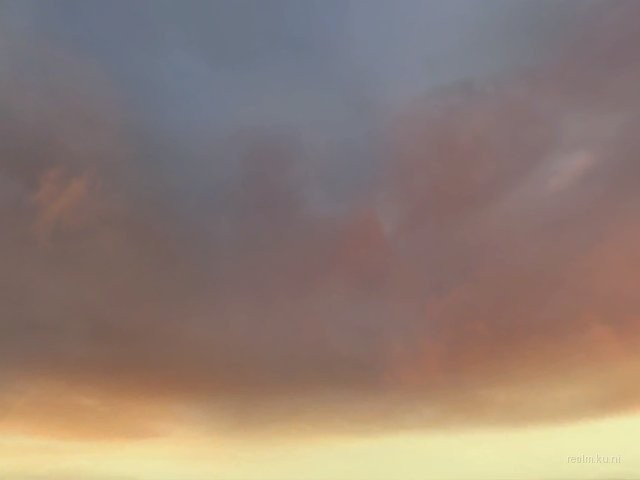 dm_only3_two_sides_bv thumb 50