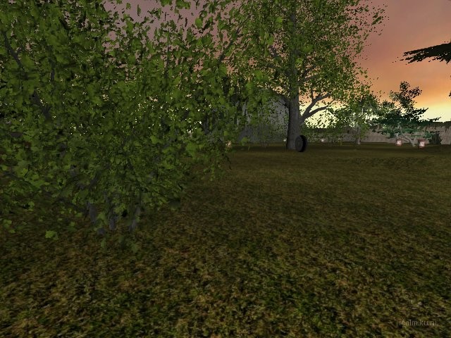 dm_only3_two_sides_bv thumb 52