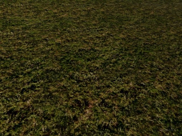 dm_only3_two_sides_bv thumb 98