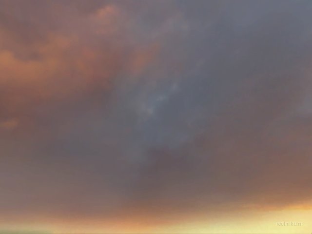 dm_only3_two_sides_bv thumb 86