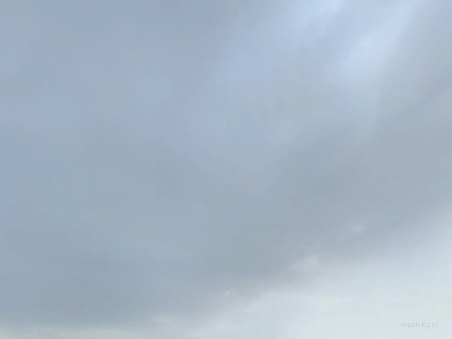 dm_painmek_gwp_v2 thumb 28